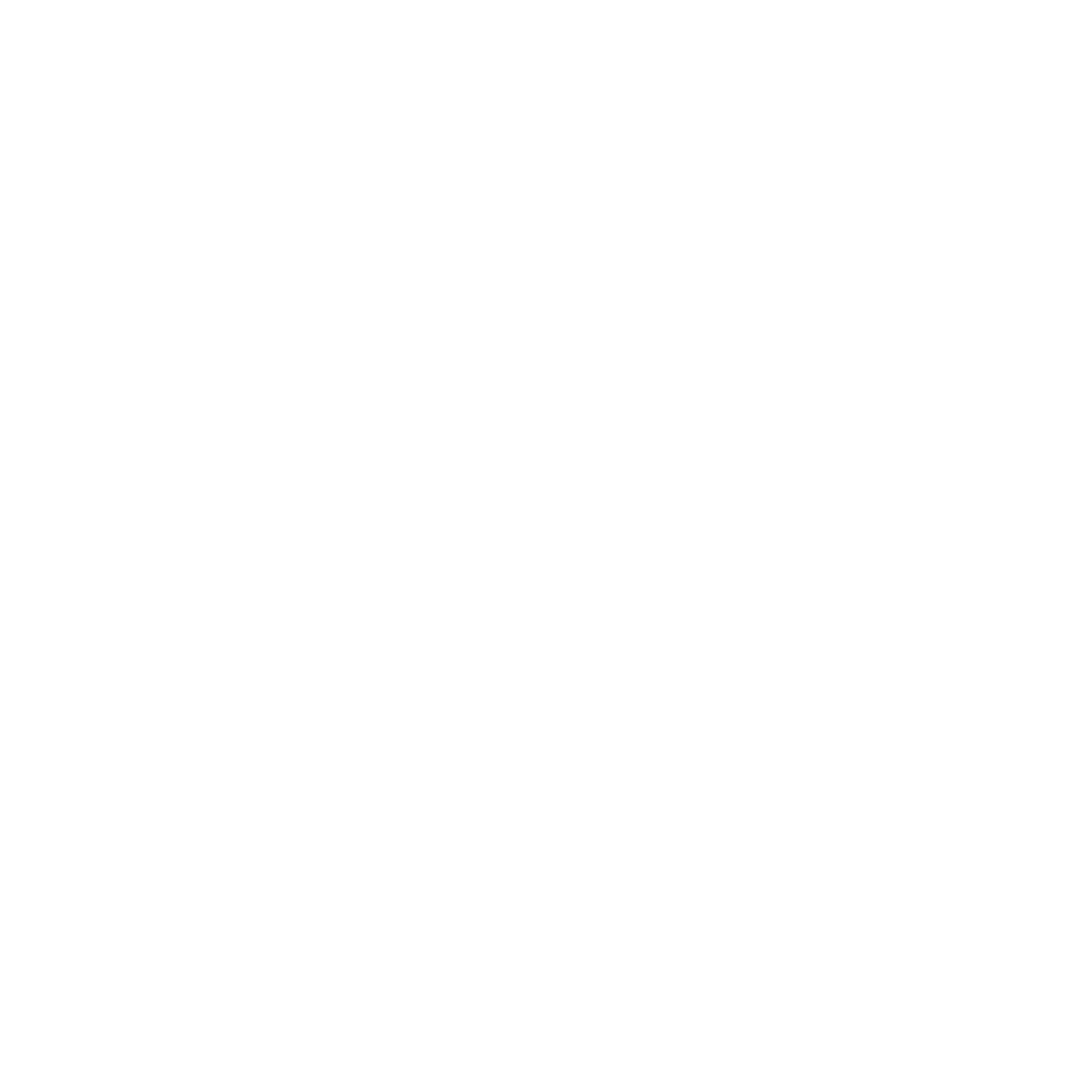 Z Logo